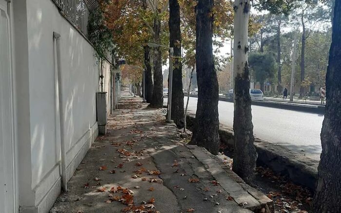 محله قصر دشت؛ بهشتی با باغهای زیبا در شهر شیراز