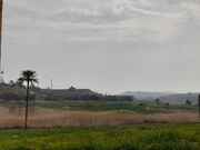گرد و غبار دومین روز متوالی دید در قصرشیرین را کاهش داد