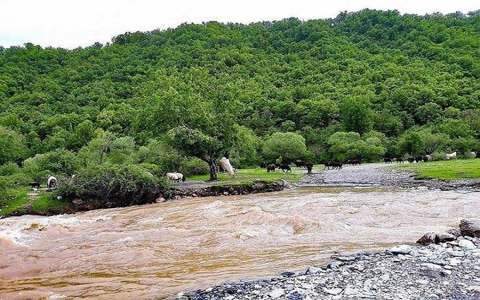 پیرانشهر مقصدی سبز برای حضور گردشگران