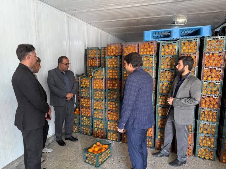 سرپرست فرمانداری بوشهر: کالاهای اساسی ایام نوروز تامین شده است سرپرست فرمانداری بوشهر: کالاهای اساسی ایام نوروز تامین شده است