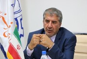 بروکراسی اداری و تندروی‌ها مانع سرمایه‌گذاری است/لزوم ثبات در قیمت ارز