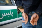 سارق زورگیر باغ های رباط کریم دستگیر شد