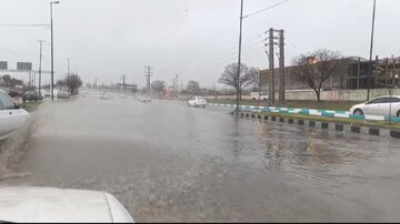 فیلم |بارش شدید باران و آبگرفتگی معابر در زنجان