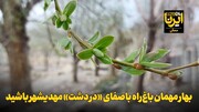 فیلم | بهار مهمان باغ‌راه باصفای «در دشت» مهدیشهر باشید