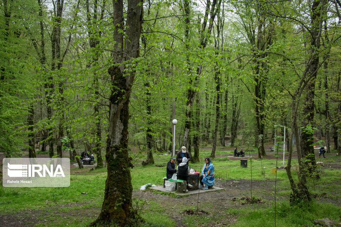 بوستانهای جنگلی غرب مازندران، پیشتاز پذیرش مسافران شمال