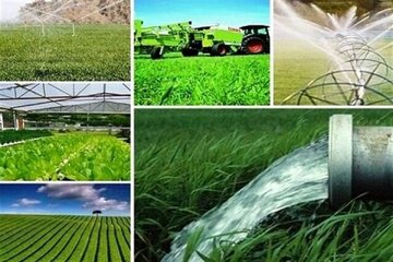 بانک کشاورزی بوشهر ۳۰ هزار میلیارد ریال تسهیلات پرداخت کرد