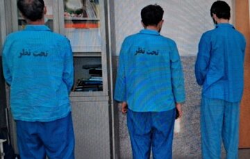 یک قاچاقچی مواد مخدر و سارقان مرغداری در خلخال دستگیر شدند 