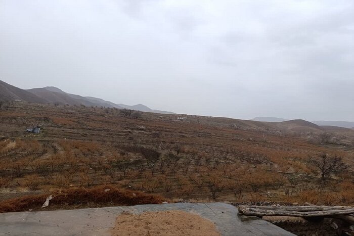 التماس دست‌های بندگی برای طلب باران در نوار مرز
