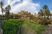 روستاهای هدف گردشگری، سفر به قلب اصالت و زیبایی خراسان جنوبی + فیلم