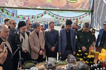 فریدن ظرفیت بالایی برای تبدیل شدن به قطب گردشگری دارد