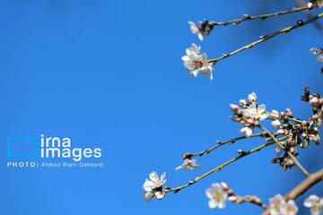 دما در خراسان رضوی افزایش می‌یابد