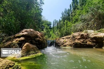 سرود بهار در سرزمین هزار چشمه خراسان‌شمالی