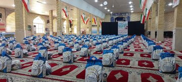 ۲۵۰ بسته معیشتی در روستاهای بخش مرکزی گتوند توزیع شد