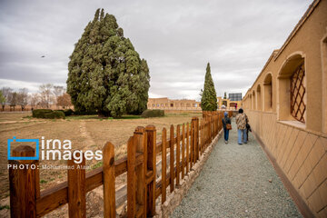 In photos: Abarkuh city tourist attractions