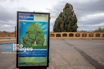 In photos: Abarkuh city tourist attractions