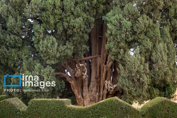 In photos: Abarkuh city tourist attractions