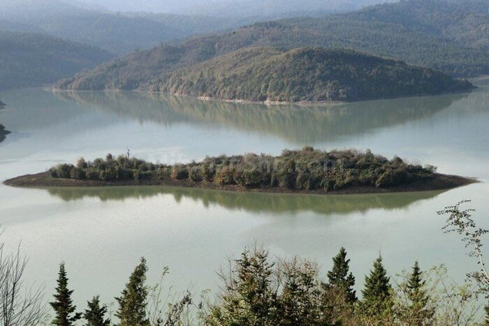 حالا «لفور» دیدنی شد