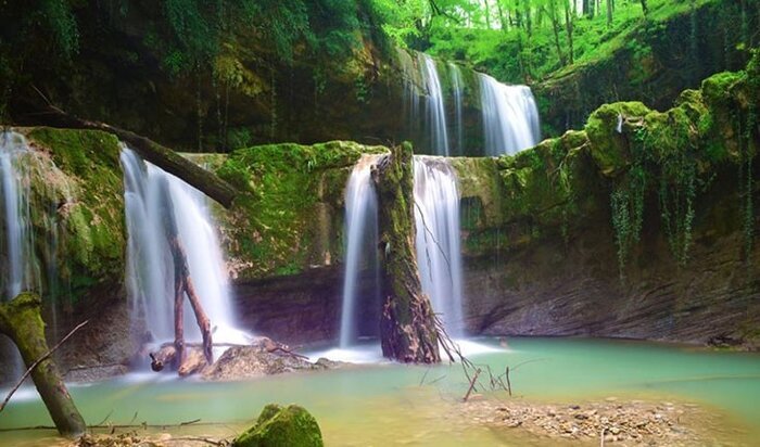 حالا «لفور» دیدنی شد