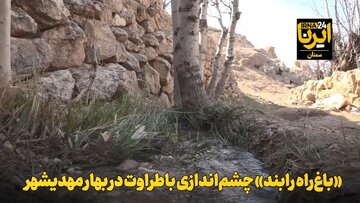 فیلم | «باغ‌راه رابند» چشم‌اندازی باطراوت در بهار مهدیشهر