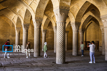 Turistas de Noruz 1404 en Shiraz