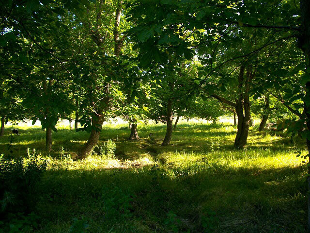 «چورس» روستایی هشت هزار ساله، یادگاری از تمدن اوراتوریی