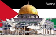 الجيش : الحل الوحيد للقضية الفلسطينية هو استمرار المقاومة والتضامن العالمي