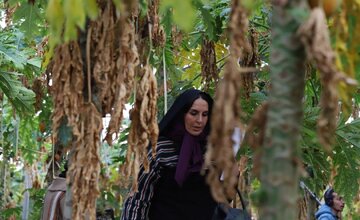 فیلم کوتاه«پاپایا» در جشنواره بین‌المللی ترکیه به نمایش درمی‌آید
