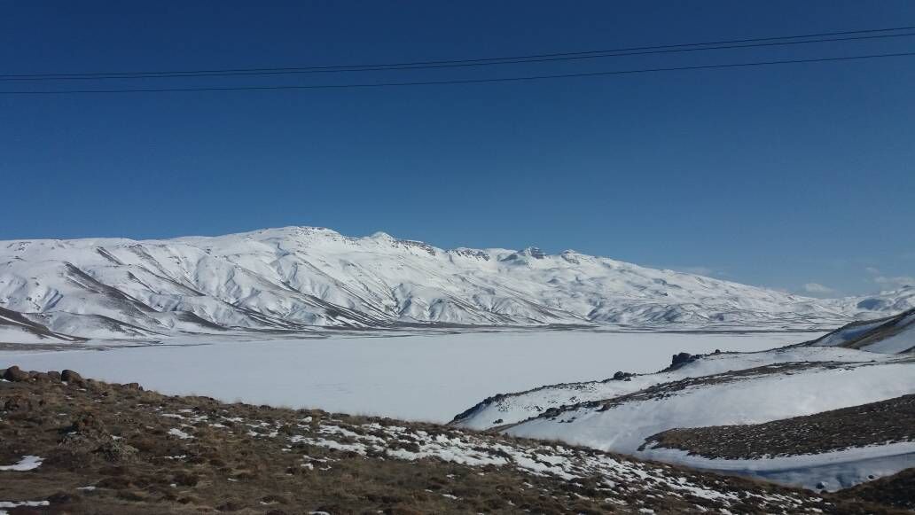 ایرنا