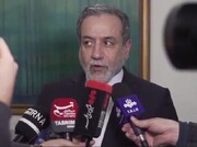عراقجي: اظهر الشعب الايراني بأن القضية الفلسطينية لا يمكن نسيانها