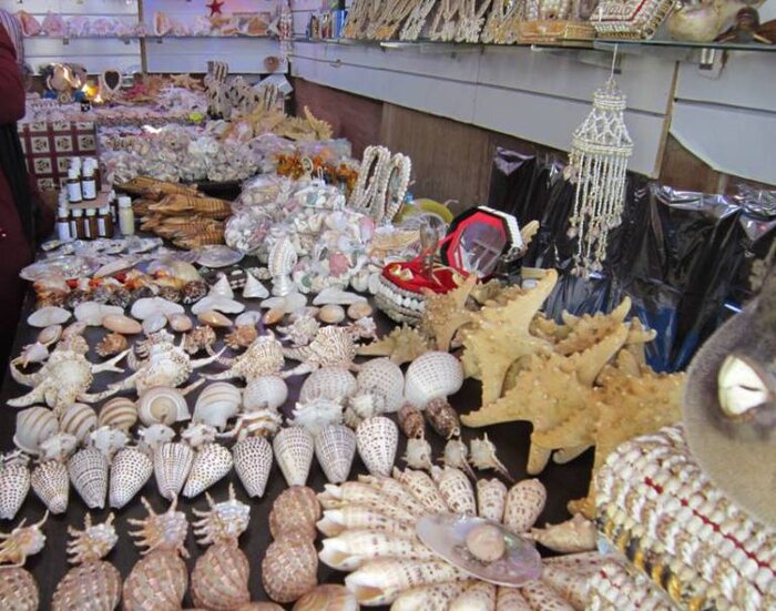 حوالی هرمز؛ جایی برای پیوند تاریخ و تجارت