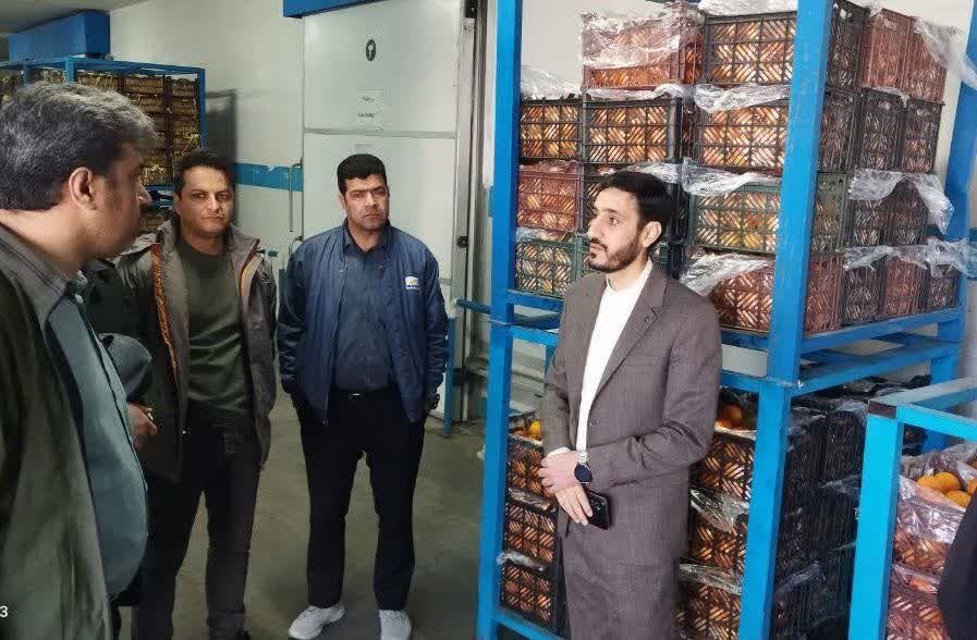 دستور دادستانی کرمان برای صدور رسید الکترونیک در میدان میوه