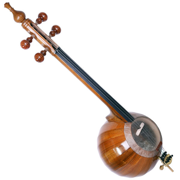 سازهای ایرانی؛ میراثی از نغمههای کهن، گنجینهای برای جهان