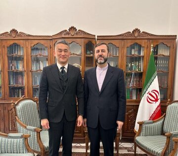 ایران و ژاپن آخرین تحولات موضوع هسته‌ای و رفع تحریم‌ها را بررسی کردند