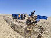 ۴ تن مواد غذایی غیربهداشتی در میاندوآب امحا شد