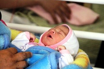 نوزاد عجول بابلی در منزل به دنیا آمد