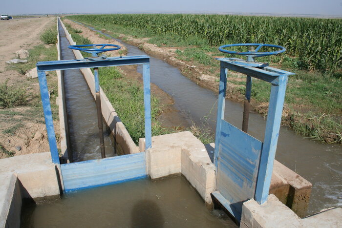 آبیاری غرقابی