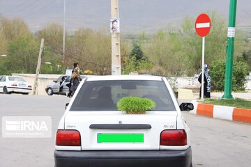 رییس پلیس راهور یزد: گذاشتن سبزه روی سقف یا صندوق عقب خودرو ممنوع