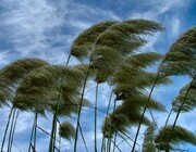 هشدار نارنجی برای وزش باد گرم در گیلان