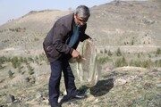 استاندار خراسان رضوی: فرهنگ سازی مهمترین اصل در حفظ طبیعت است