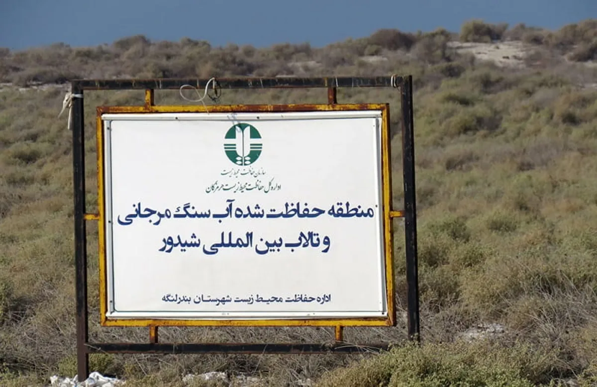 ما می‌گوییم جزیره «مارو» اما شما بخوانید «مالدیو» ایران