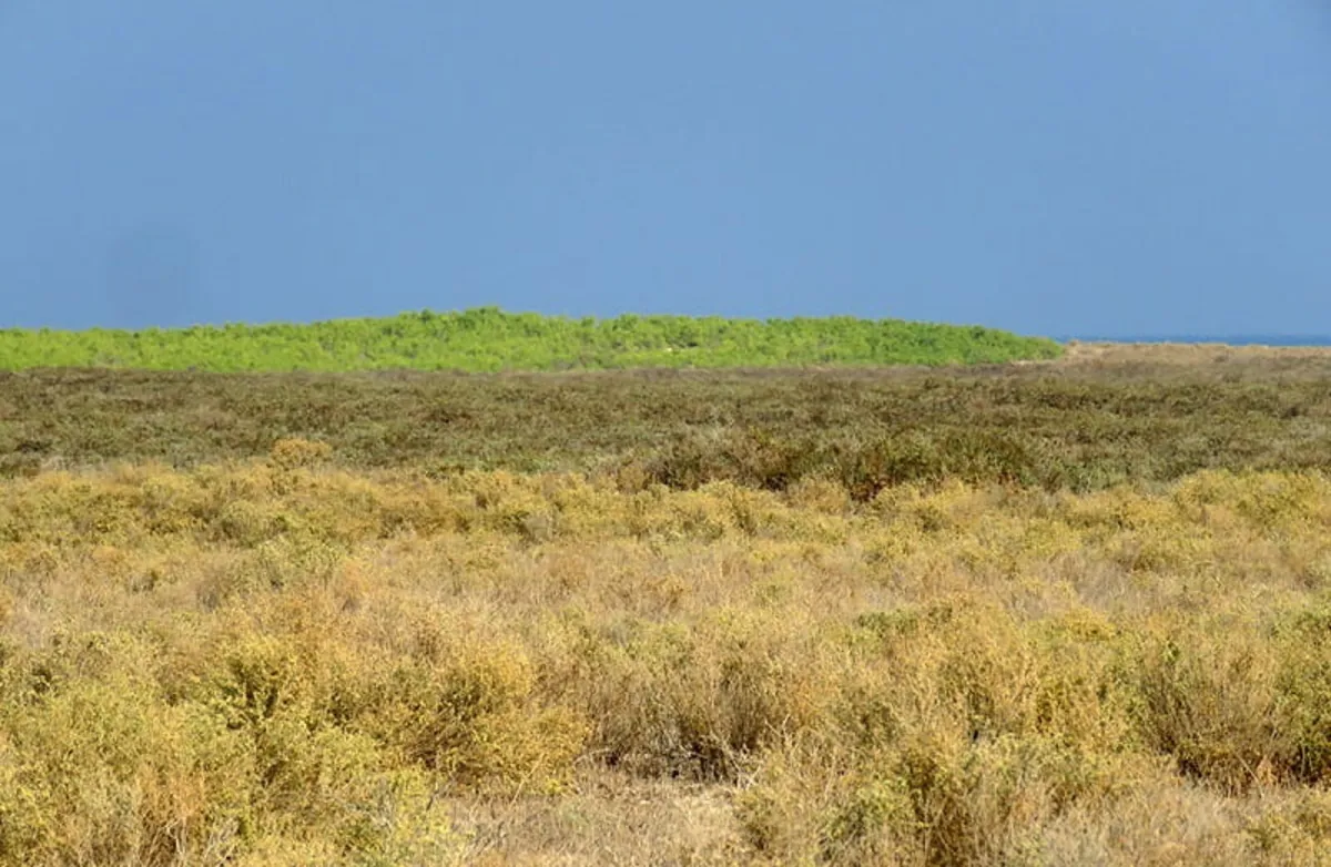 ما میگوییم جزیره «مارو» اما شما بخوانید «مالدیو» ایران
