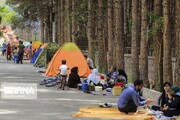باید و نبایدهای زیست محیطی در روز طبیعت