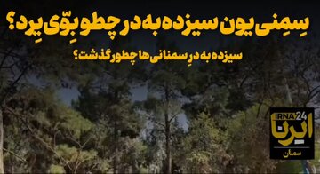 فیلم| سِمِنی‌یون سیزده‌به‌در چطو بِوّی‌یِرد؟