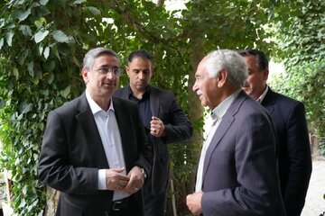 درختان بلوط نماد طبیعت بکر و منحصربفرد لرستان هستند