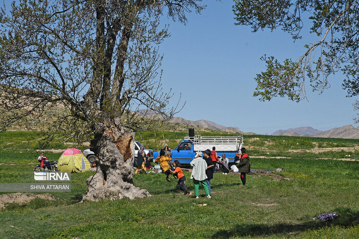 با «فسیل زنده ایران» در روز طبیعت مهربان باشید