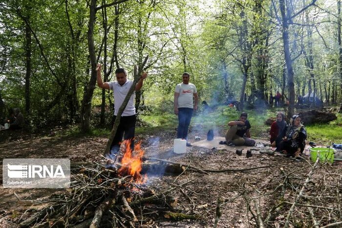 با «فسیل زنده ایران» در روز طبیعت مهربان باشید