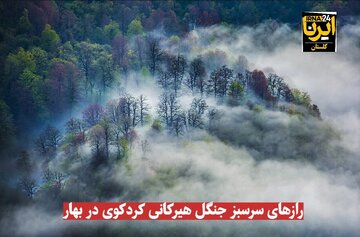 فیلم| رازهای سرسبز جنگل هیرکانی کردکوی در بهار