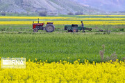رئیس کمیسیون کشاورزی: برای سرمایه گذاری در تولید نیاز به اطمینان بخشی داریم
