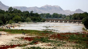 اتاق اصناف کشاورزی اصفهان: پشتیبان طرح‌های احیای زاینده‌رود هستیم