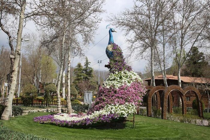 آغاز به کار یازدهمین جشنواره لاله های کرج